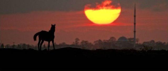 Samsun’u Dünya Kupasında Fokus Temsil Edecek