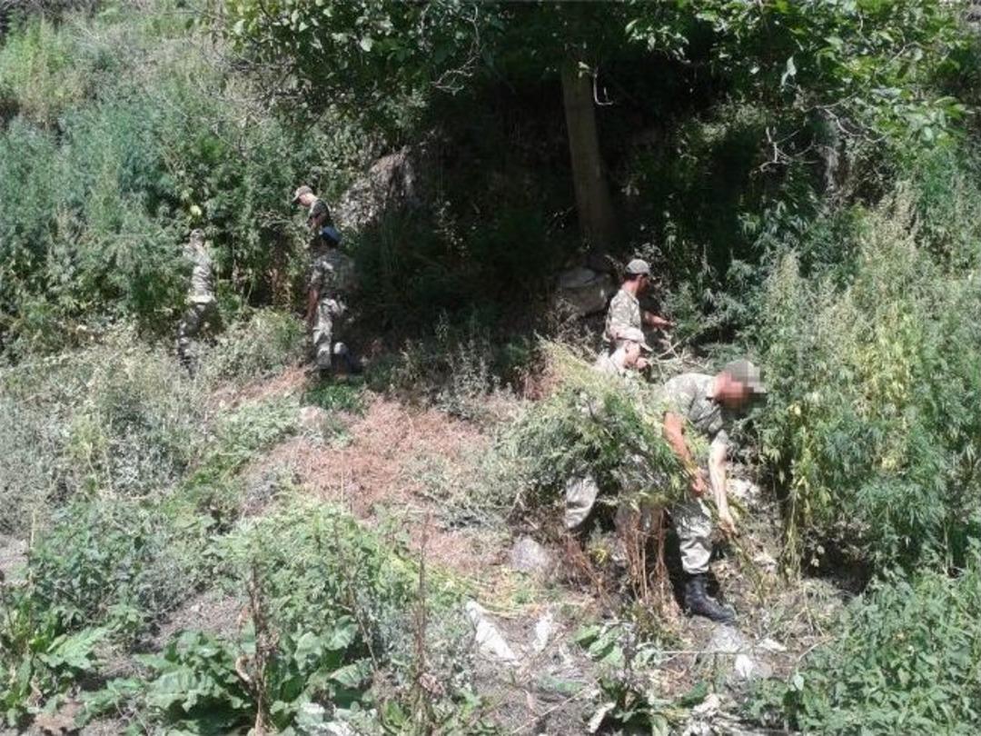 Jandarma&rsquo;dan B&uuml;y&uuml;k Operasyon