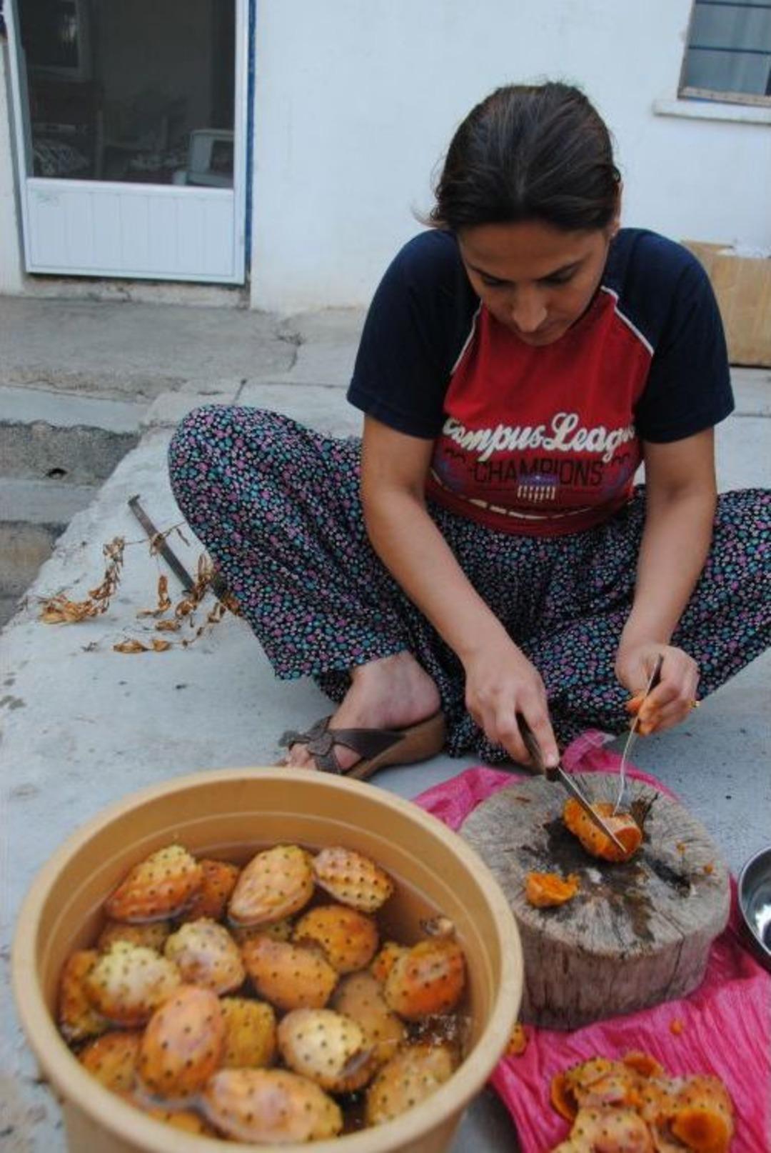 G&uuml;n Boyu Zinde Tutan Frenk Yemişinin Tanesi Bir Lira