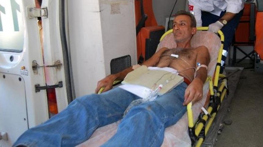 Ceylanpınar'da 4 kişi yaraladı