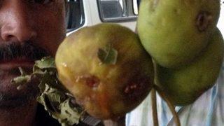 Nazilli Ziraat Odası'ndan Çiftçiye Destek Çağrısı