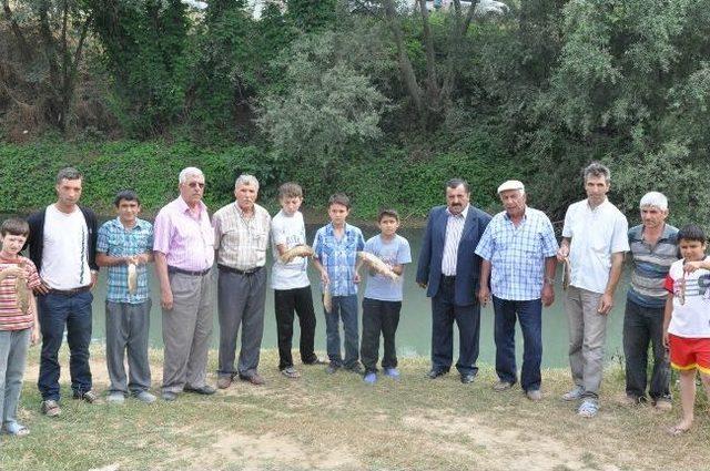 Kulaca Deresi Temiz Çıktı 1