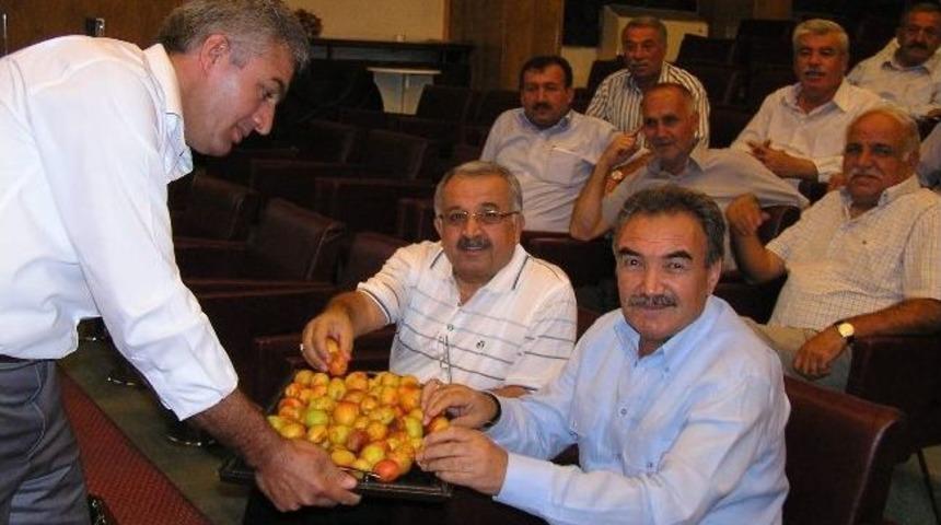 İl Genel Meclisi&rsquo;nde Mevsimin Son Yaş Kayısıları İkram Edildi