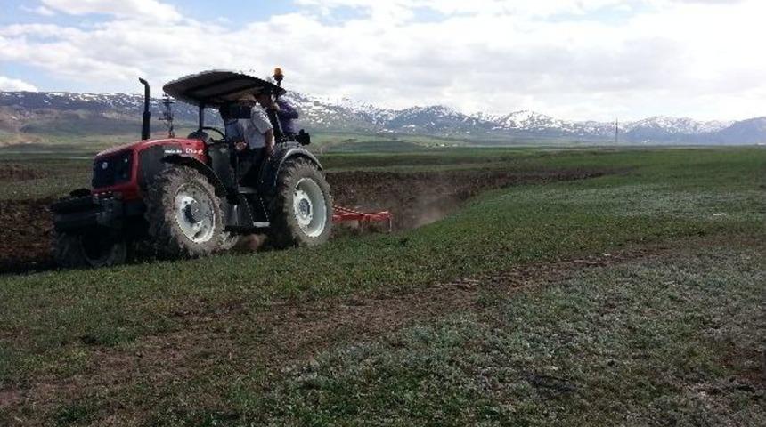Doğu Avrupa'ya T&uuml;rk Trakt&ouml;r&uuml; Satıyor