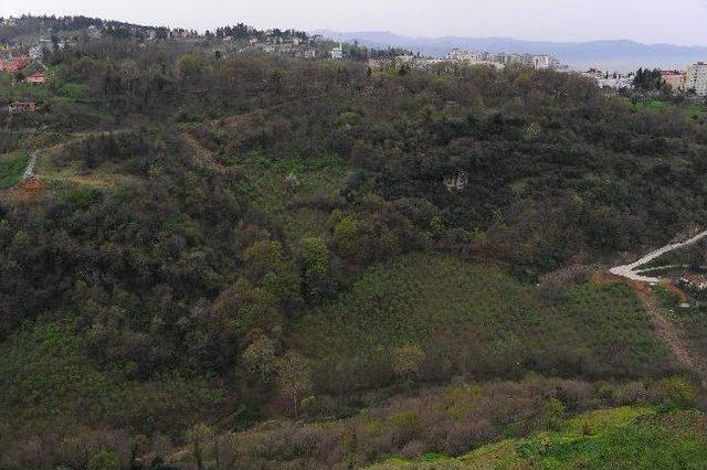 Çamoba Botanik Parkı’nın Avan Projesi Tamamlandı