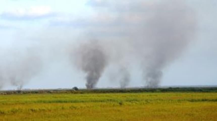 Kuşcennetindeki Yangında Telef Olan Hayvanlarla Ilgili Tespit Yapılacak