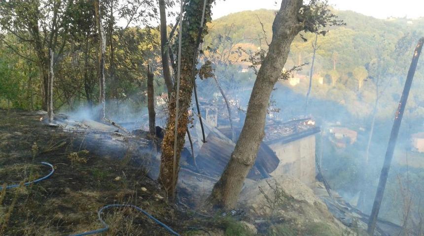 Ormana Sı&ccedil;rayan Yangın Kısa S&uuml;rede S&ouml;nd&uuml;r&uuml;ld&uuml;