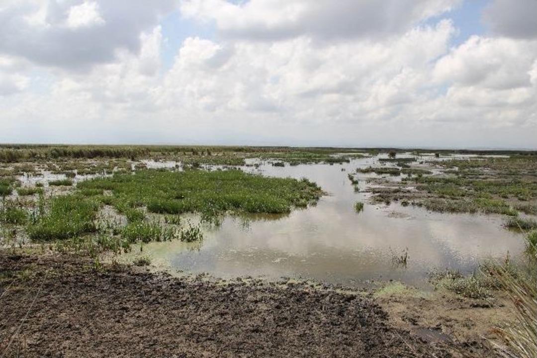 Kuş Cenneti'ndeki Yangında 10 Hektar Alan Zarar G&ouml;rd&uuml;