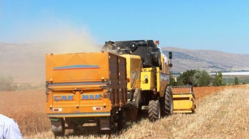 Kayseri Şeker Fabrikası İlk Aspir Hasadını Ger&ccedil;ekleştirdi