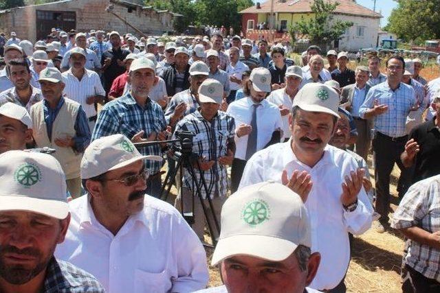 Kayseri Şeker Fabrikası İlk Aspir Hasadını Gerçekleştirdi