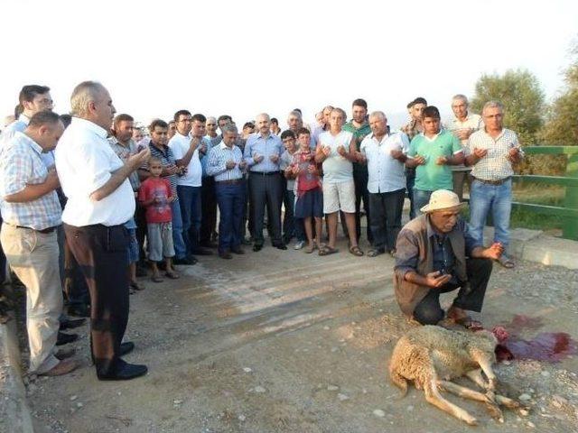 Sel Felaketinde Yıkılan Köprü Yeniden Yapıldı