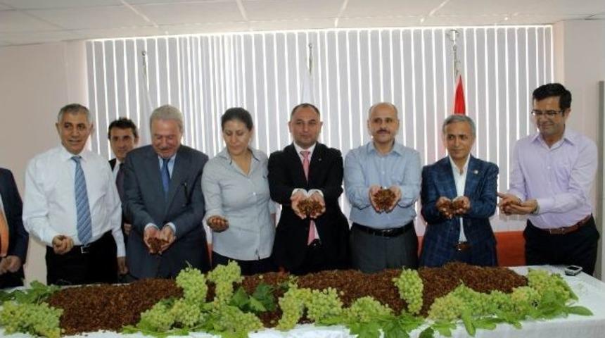 Salihli'de İlk &Uuml;z&uuml;m Sevinci