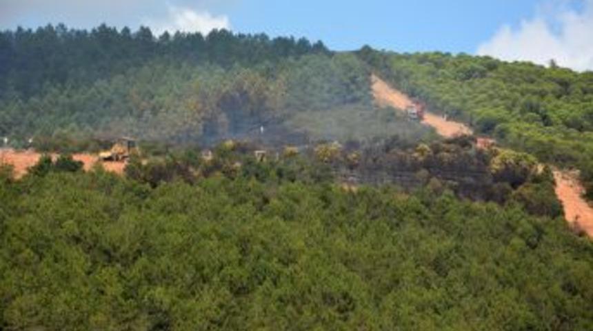 Sancaktepe&rsquo;deki Orman Yangını S&ouml;nd&uuml;r&uuml;ld&uuml;