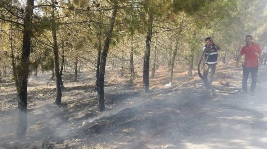 Bozova'da Korkutan Yangın