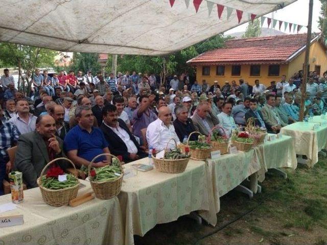 Çankırı'da Fasülye Festivali Düzenlendi