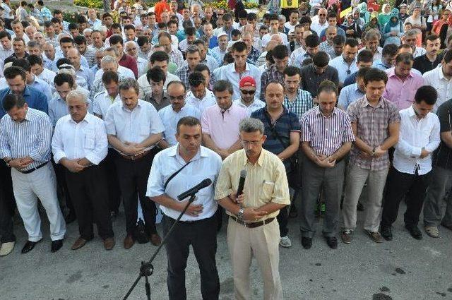 Sinop ta Mısır Halkına Destek Mitingi 1