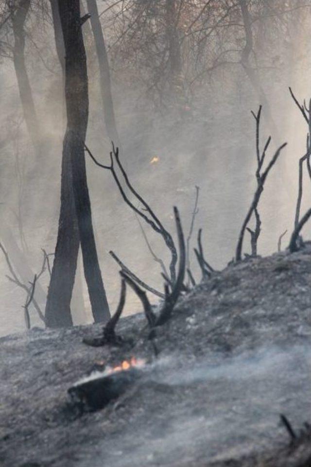 Adana&rsquo;da Orman Yangını 1