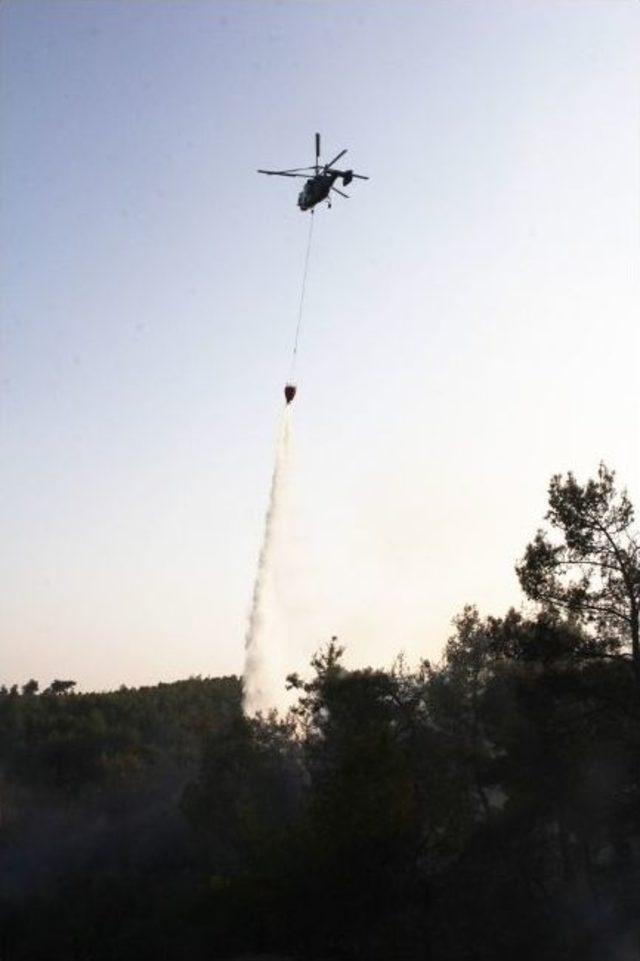 Adana&rsquo;da Orman Yangını 2