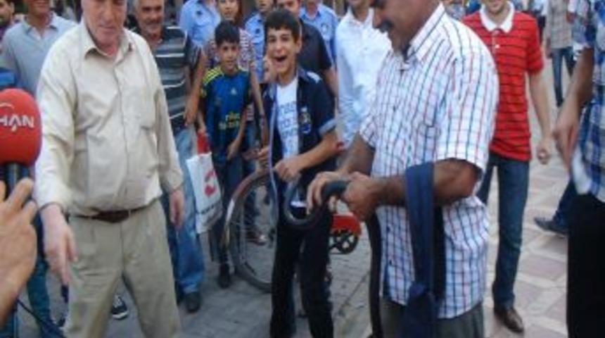 Bin TL Fiyat Bi&ccedil;ilen Yılana Alıcı &Ccedil;ıkmadı, Korkup Ka&ccedil;an &Ccedil;ok Oldu