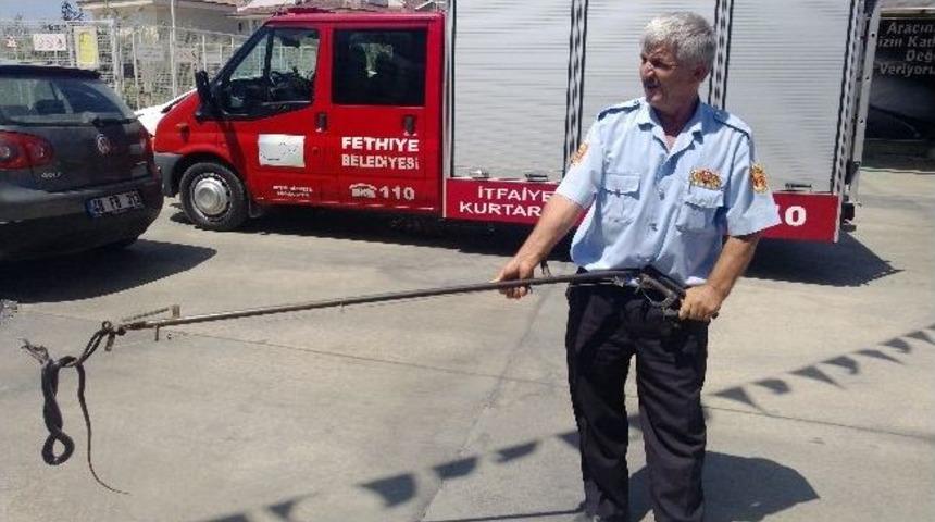 Fethiye De Akaryakıt İstasyonuna Giren Yılan İ&ccedil;in İtfaiye Operasyon D&uuml;zenledi