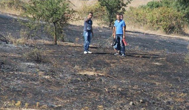 Çan’da Ot Yangını 1