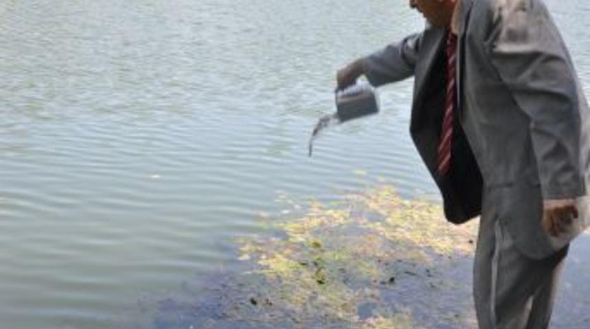 Trabzon'dan Getirilen 50 Bin Alabalık Yavrusu Karag&ouml;l'e Salındı