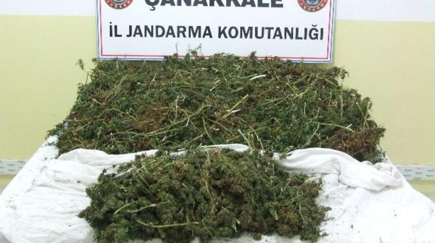 &Ccedil;anakkale&rsquo;de Uyuşturucu Operasyonu