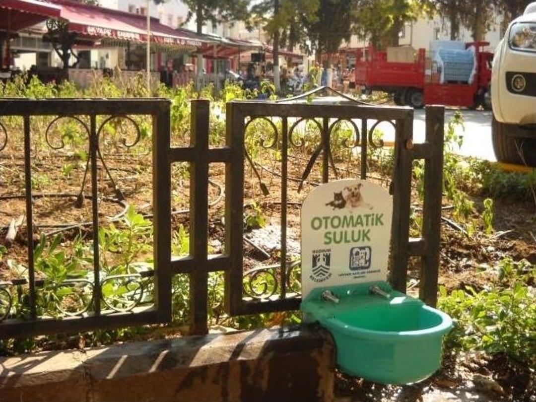 Mehmet Kocadon, &ldquo;sevmek Yetmiyor&rdquo;