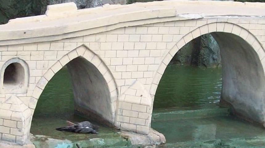 Karga &Ouml;l&uuml;mleri Vatandaşı Korkutuyor