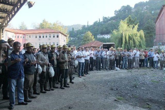 Yeni Açılan Üretim Alanı Kurban Kesimi İle Hizmete Girdi