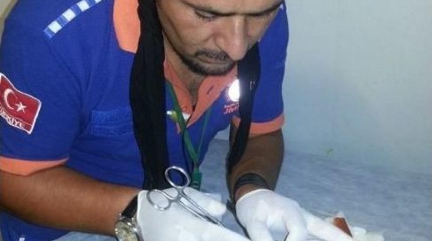 Umke&rsquo;den &Ouml;rnek Davranış