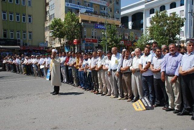 Adıyaman’da, Mısır’da Hayatını Kaybedenler İçin Gıyabi Cenaze Namazı Kılındı