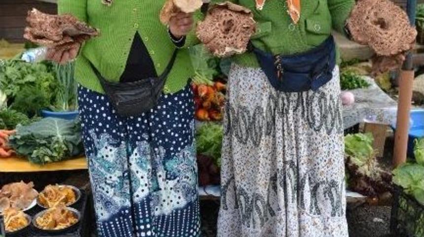 Mantar Orman K&ouml;yl&uuml;s&uuml;n&uuml;n Ge&ccedil;im Kaynağı Oldu