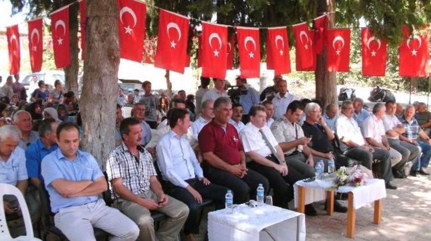 Yeşilyayla'da Damızlık S&uuml;t Sığırı Dağıtımı Yapıldı