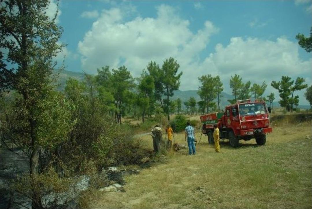 Manavgat'ta Tarım Arazisinde Yangın