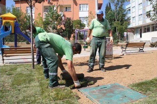 Kartal’da Parklar Yeşilleniyor