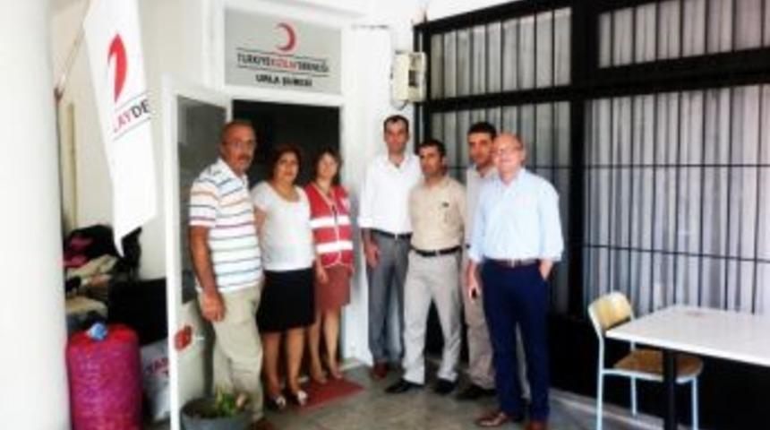 Kızılay Şubeleri, Organizasyonel Yapılanıyor