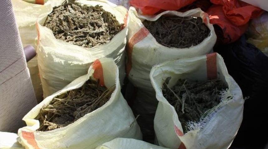 Kamyondan 310 kilo esar &ccedil;ıktı