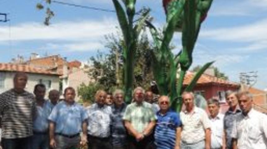 Karanfiloğlu&rsquo;na Karanfil Heykeli