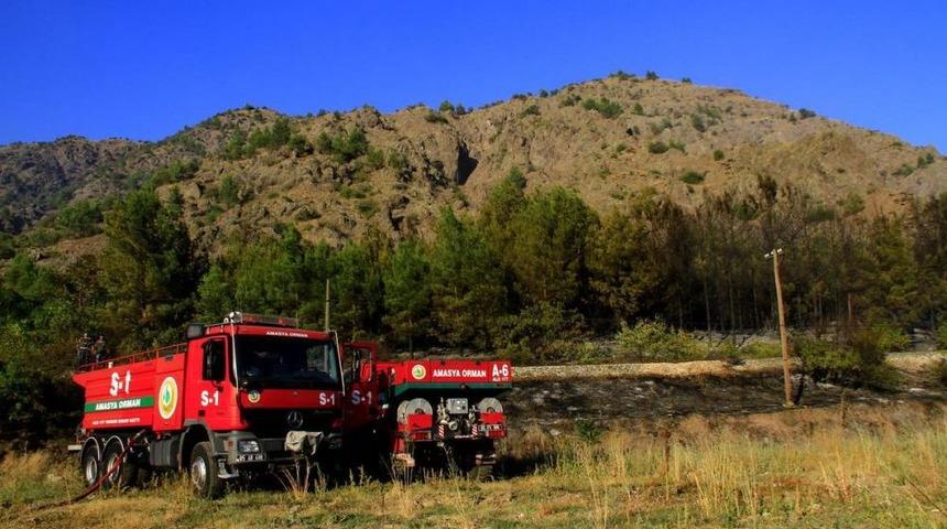 Amasya'da Orman Yangını