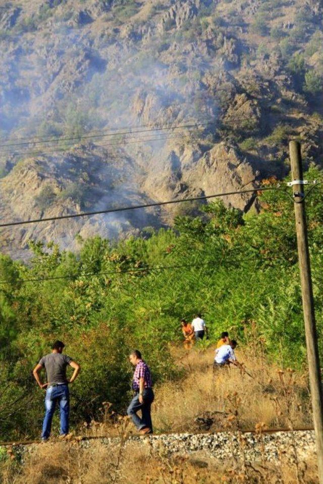 Amasya'da Orman Yangını