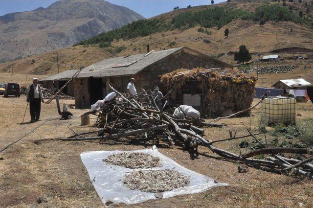 Köylerine Dönen Vatandaşlar Devlet Desteği Bekliyor