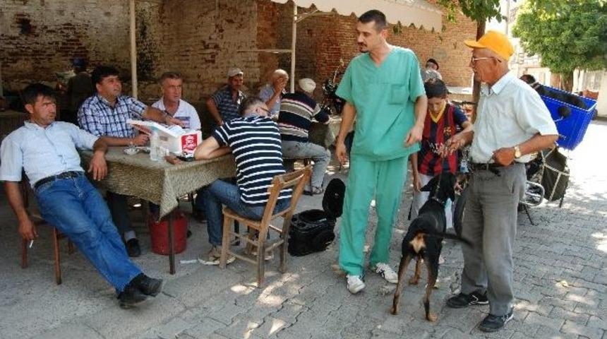 Bayrami&ccedil;&rsquo;teki K&ouml;pekler Aşılandı