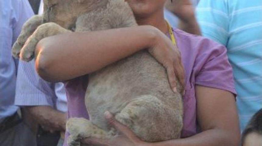 Kayseri Basını Anadolu Harikalar Diyarında Buluştu