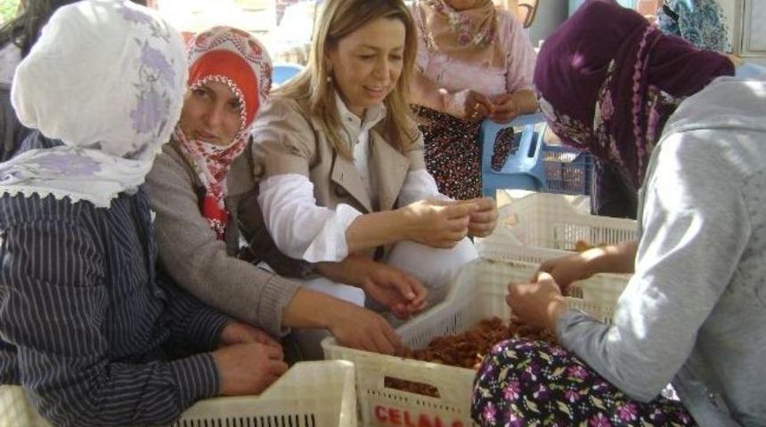 Milletvekili &Ouml;znur &Ccedil;alık, T&uuml;t&uuml;n Sapladı, Kayısı Patiği Yaptı