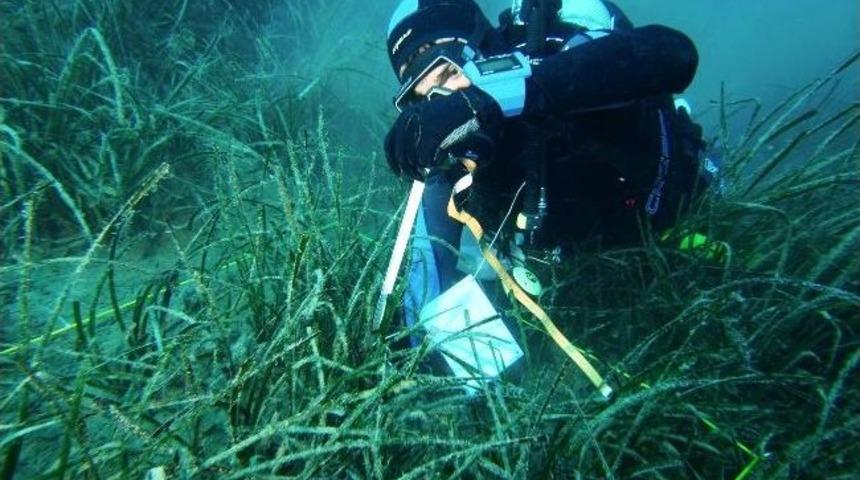 &Ouml;&ccedil;k B&ouml;lgeleri&rsquo;nin R&ouml;ntgeni &Ccedil;ekiliyor