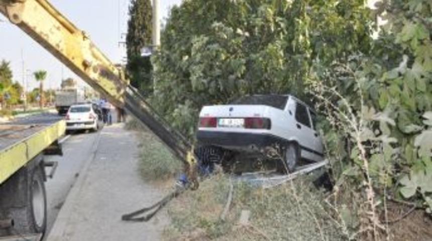 Alkoll&uuml; S&uuml;r&uuml;c&uuml; Yemiş Tarlasına Girdi