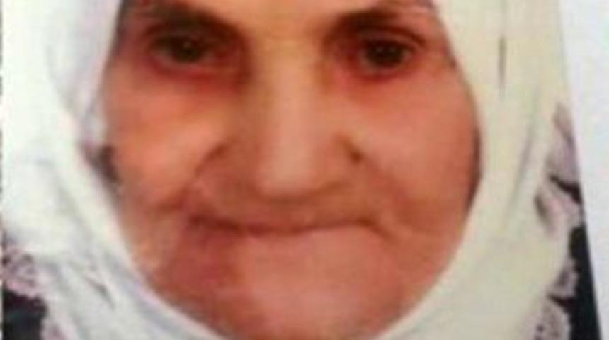 Ilgaz'da Kaybolan 83 Yaşındaki Kadını Arama &Ccedil;alışması Sonlandırıldı