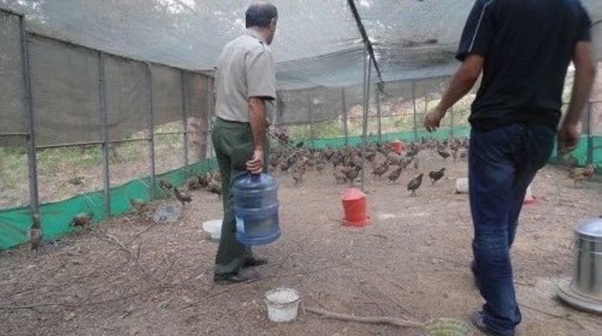 Av Koruma Kontrol Ekipleri Denetimleri Sıklaştırdı