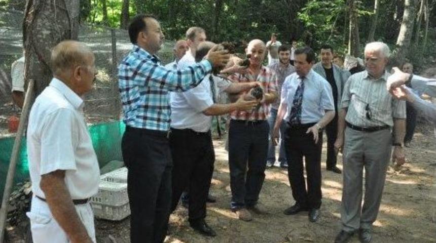 Kartepe&rsquo;de Doğaya S&uuml;l&uuml;n Salındı